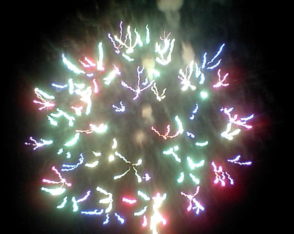Photo of Fireworks #01
